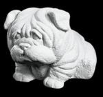 Bulldog